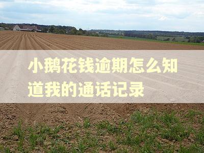 小鹅花钱逾期怎么知道我的通话记录
