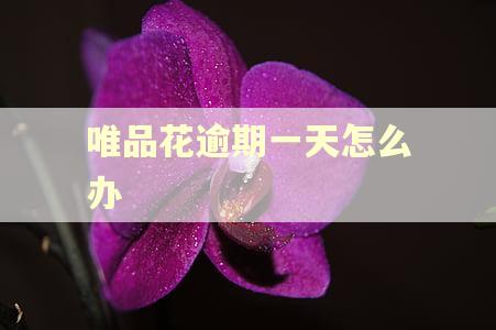唯品花逾期一天怎么办