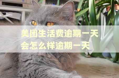 美团生活费逾期一天会怎么样逾期一天 美团生活费逾期一天会怎么样逾期一天