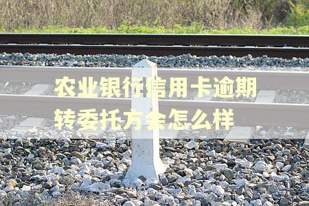 农业银行信用卡逾期转委托方会怎么样