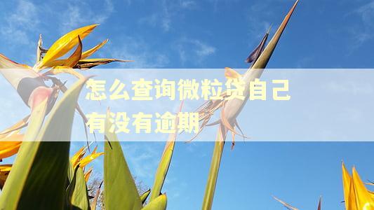 怎么查询微粒贷自己有没有逾期