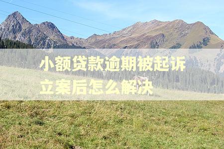 小额贷款逾期被起诉立案后怎么解决