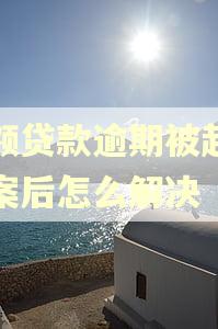 小额贷款逾期被起诉立案后怎么解决