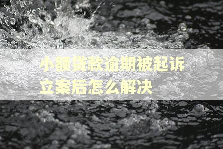 小额贷款逾期被起诉立案后怎么解决