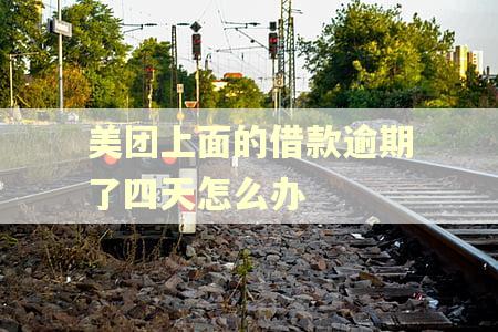 美团上面的借款逾期了四天怎么办 美团上面的借款逾期了四天怎么办