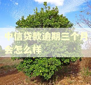 中信贷款逾期三个月会怎么样