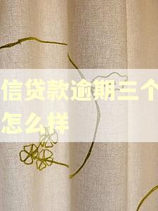 中信贷款逾期三个月会怎么样