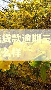 中信贷款逾期三个月会怎么样 中信贷款逾期三个月会怎么样