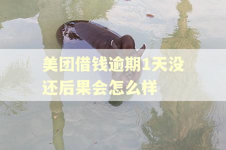 美团借钱逾期1天没还后果会怎么样