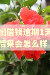 美团借钱逾期1天没还后果会怎么样