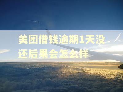 美团借钱逾期1天没还后果会怎么样