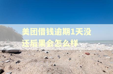 美团借钱逾期1天没还后果会怎么样