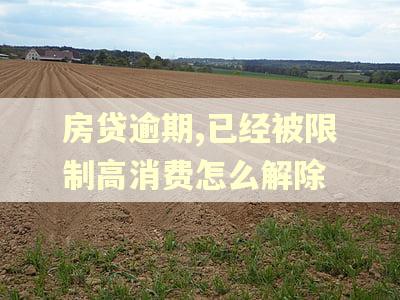房贷逾期,已经被限制高消费怎么解除