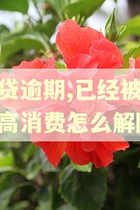 房贷逾期,已经被限制高消费怎么解除