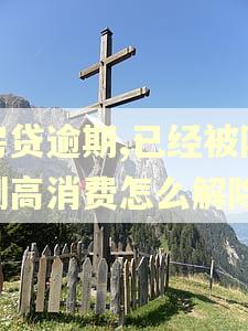 房贷逾期,已经被限制高消费怎么解除
