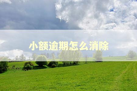 小额逾期怎么消除 小额逾期怎么消除