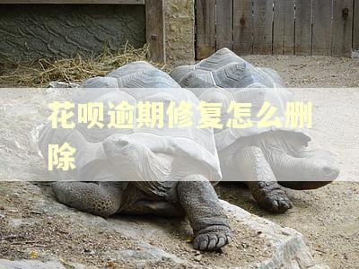 花呗逾期修复怎么删除