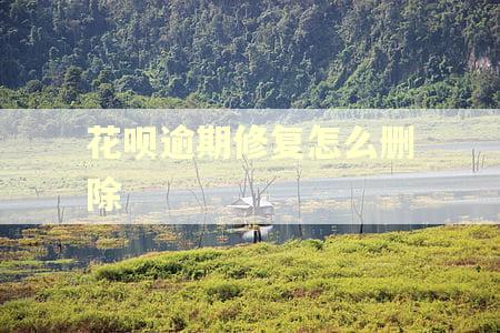 花呗逾期修复怎么删除