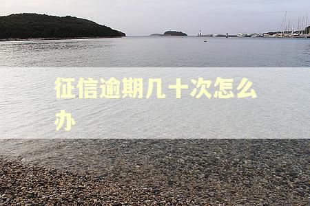 征信逾期几十次怎么办
