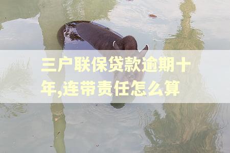 三户联保贷款逾期十年,连带责任怎么算