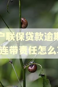 三户联保贷款逾期十年,连带责任怎么算
