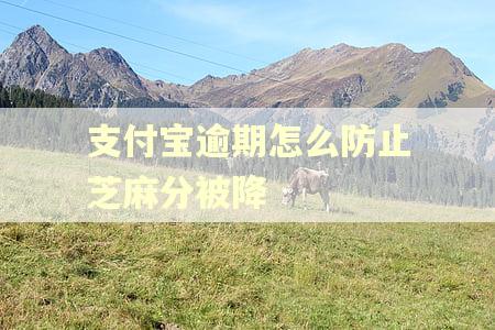 支付宝逾期怎么防止芝麻分被降