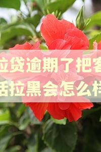 微粒贷逾期了把客服电话拉黑会怎么样