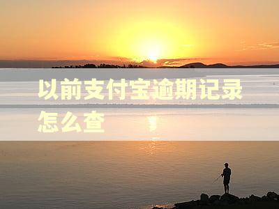 以前支付宝逾期记录怎么查