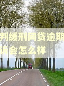 被判缓刑网贷逾期被起诉会怎么样
