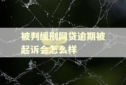 被判缓刑网贷逾期被起诉会怎么样