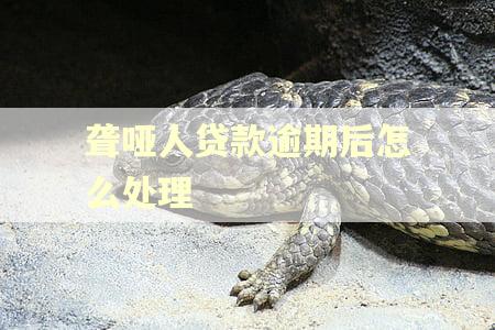 聋哑人贷款逾期后怎么处理
