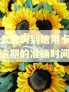怎么查询到信用卡具体逾期的准确时间 怎么查询到信用卡具体逾期的准确时间