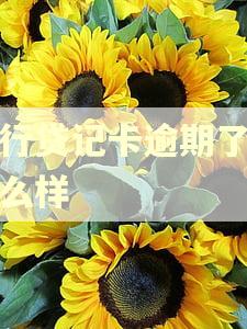 农行贷记卡逾期了会怎么样