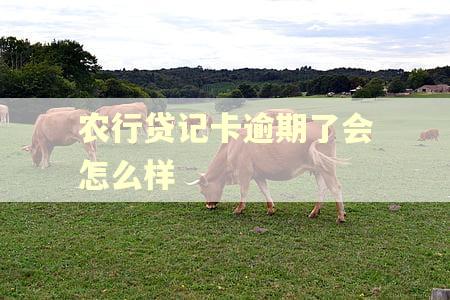 农行贷记卡逾期了会怎么样