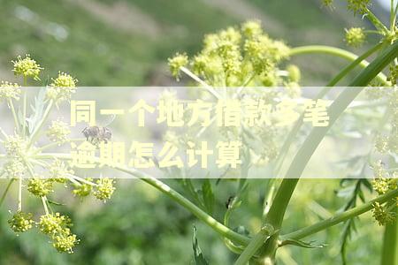 同一个地方借款多笔逾期怎么计算
