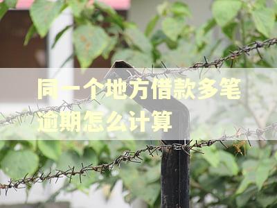 同一个地方借款多笔逾期怎么计算