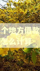 同一个地方借款多笔逾期怎么计算