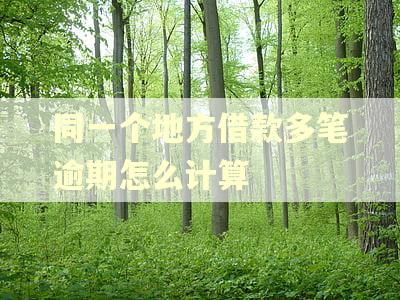同一个地方借款多笔逾期怎么计算