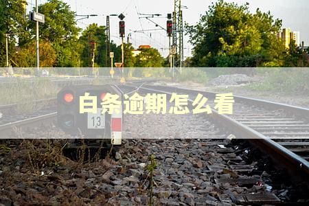 白条逾期怎么看