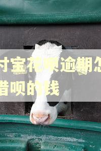 支付宝花呗逾期怎么还借呗的钱