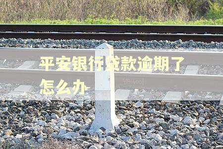 平安银行贷款逾期了怎么办