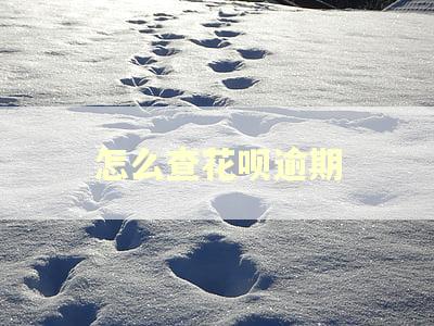 怎么查花呗逾期