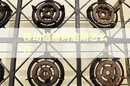 移动信用购逾期怎么还