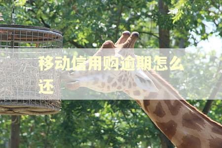 移动信用购逾期怎么还