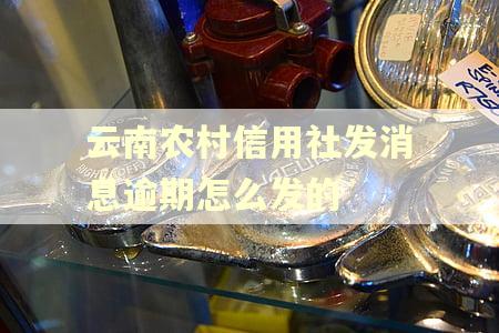 云南农村信用社发消息逾期怎么发的