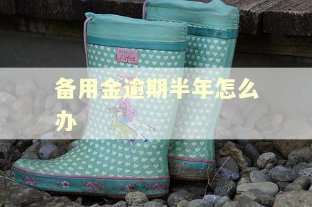 备用金逾期半年怎么办