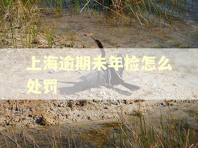 上海逾期未年检怎么处罚