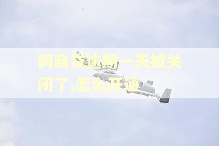 网商贷逾期一天被关闭了,怎么开通