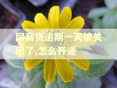 网商贷逾期一天被关闭了,怎么开通