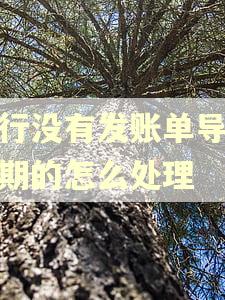 银行没有发账单导致逾期的怎么处理